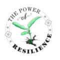 The Power of Resilience