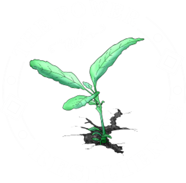 The Power of Resilience